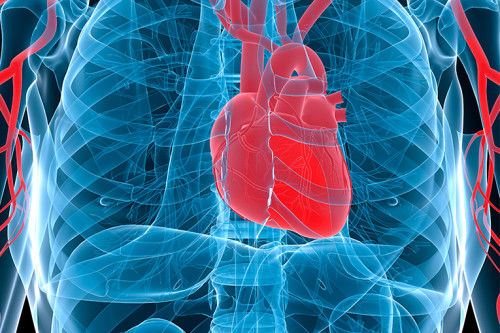 Cara mencegah dan mengobati infeksi liver. Foto: healthy-heart.org 