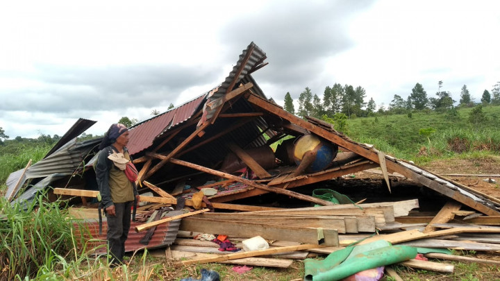 Serangan Gajah Liar, 2 Desa di Bener Meriah Mengungsi