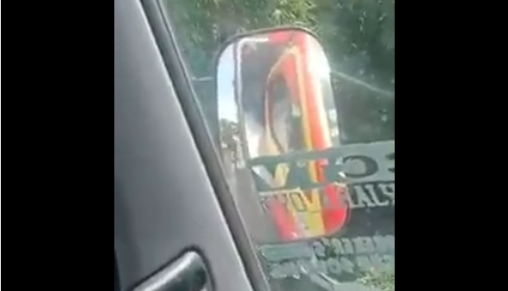 Viral, Oknum Polisi Minta Durian Sebagai Ganti Tilang