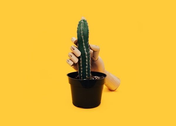 Ilustrasi. Unsplash
