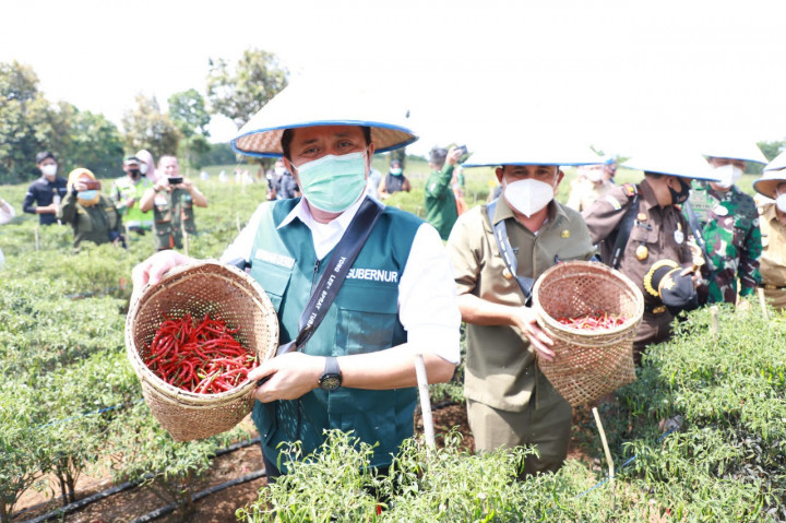 Gerakan Sumsel Mandiri Pangan Inisiasi Gubernur Herman Deru Segera Diluncurkan