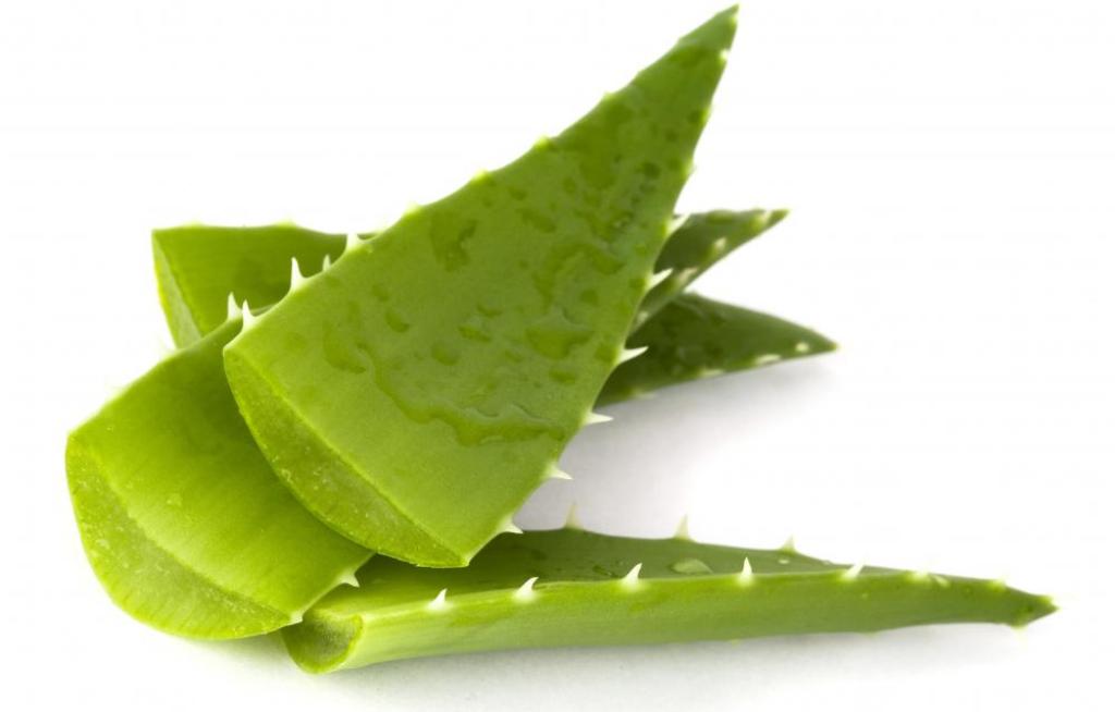 Bikin Glowing, Ini 5 Manfaat Lidah Buaya untuk Kesehatan dan Wajah Foto: wisegeek