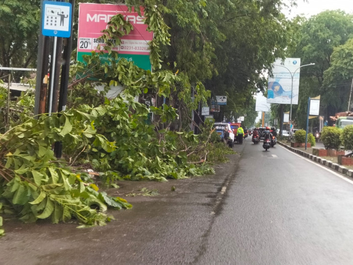 Hujan Disertai Angin Kencang di Cirebon, Puluhan Pohon Tumbang