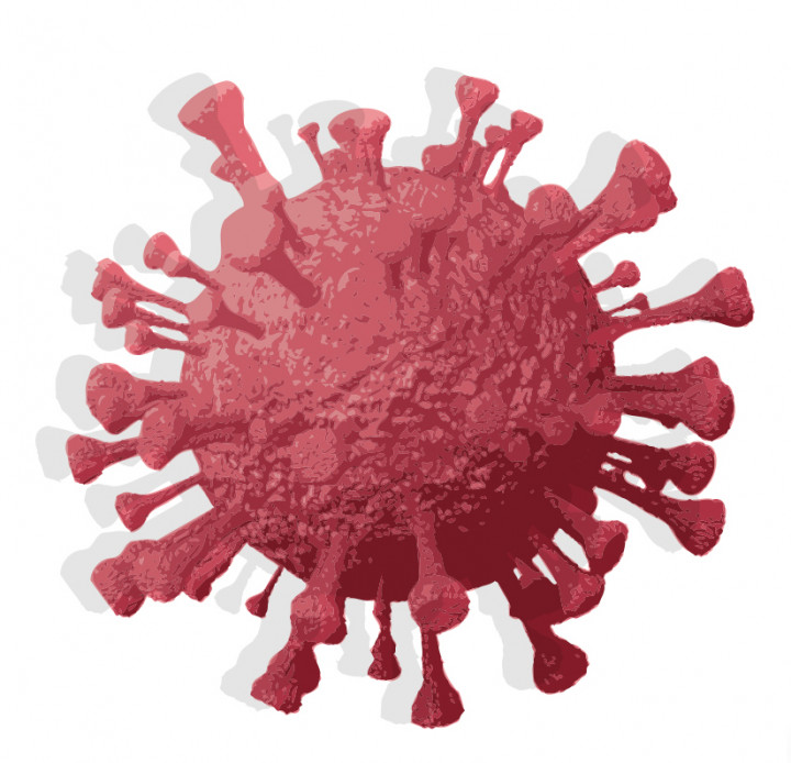 Waspadai Gelombang Baru Covid-19 dari Varian Omicron saat Momen Libur Nataru