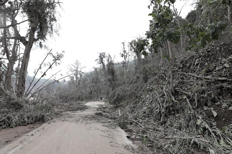 Kondisi terdampak erupsi Semeru di Lumajang, Jatim. Foto: Dok. BNPB