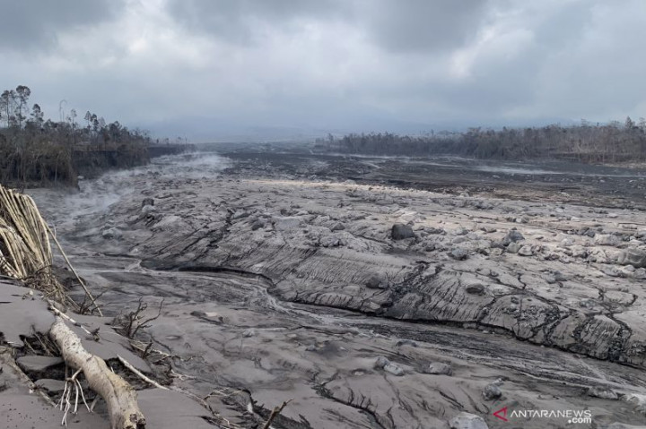 20 Hektare Lahan Pertanian Desa Supiturang Terdampak Erupsi Semeru