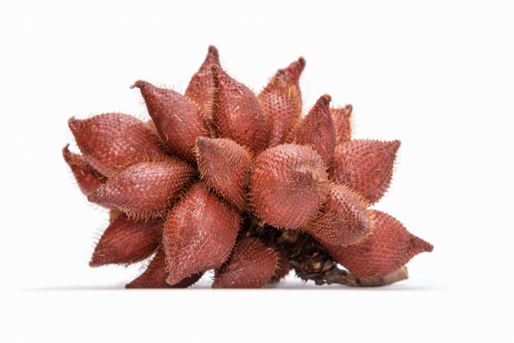 10 manfaat buah salak untuk kesehatan. Foto: Freepik. 