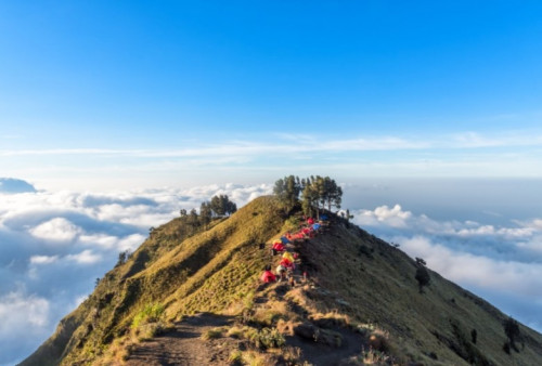 Suasana di ketinggian gunung Rinjani, salah satu dari tujuh gunung tertinggi di Indonesia Foto: (Shutterstock/Chanwit Ohm)