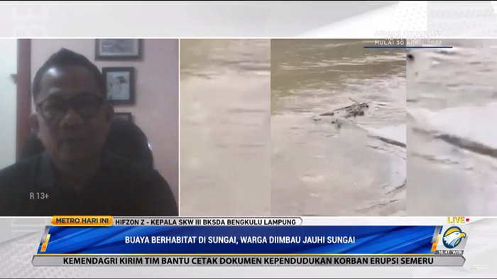 BKSDA Lampung Kesulitan Evakuasi Buaya Muara Sungai Semaka
