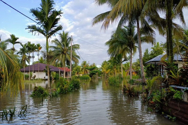 Hampir Semua Kampung di Pesisir Mimika Terdampak Banjir Rob