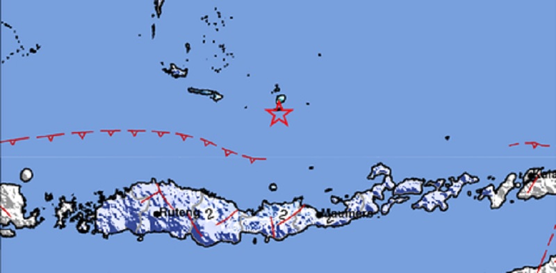 Peta guncangan gempa Maumere, NTT. (BMKG)