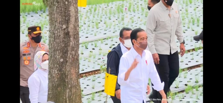 Jokowi Perintahkan Kementan Dampingi Petani Bawang Merah Temanggung