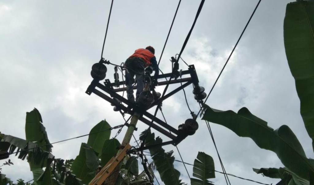 194 gardu listrik yang sempat padam usai gempa magnitudo 7,4 yang mengguncang Kabupaten Flores Timur, Nusa Tenggara Timur (NTT) kini sudah pulih. Foto: dok. PLN