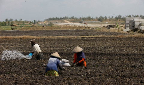 Petani Sambut Kebijakan Jokowi Dorong Produksi Pangan