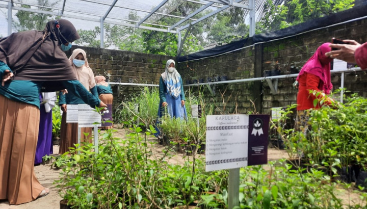 Budi Daya Tosga Upaya Tingkatkan Harapan Hidup Lansia di Tuban