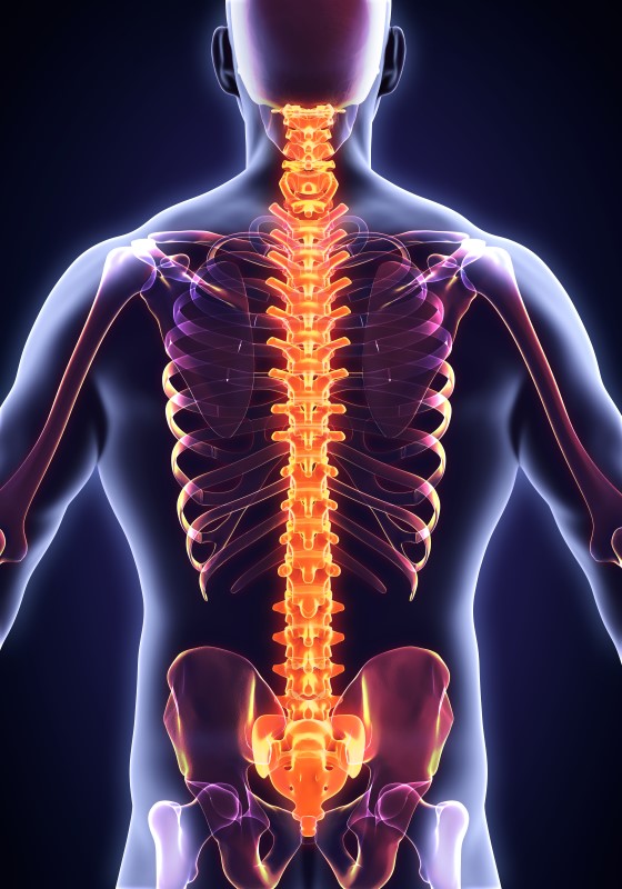 Apa Itu <i>Spinal Cord</i>? Berikut Pengertian, Fungsi, dan Bahayanya Jika Cedera
