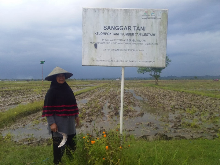 Kisah Perempuan Banggai Garap Pertanian Organik