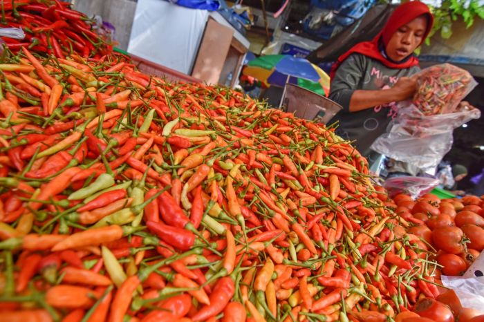 Ilustrasi. (ANTARA/Ahmad Subaidi)