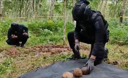206 Butir Granat Aktif Ditemukan di Perkebunan