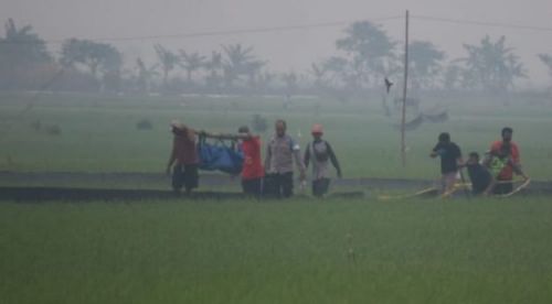 Petani di Gresik Tewas Tersetrum Jebakan Tikus