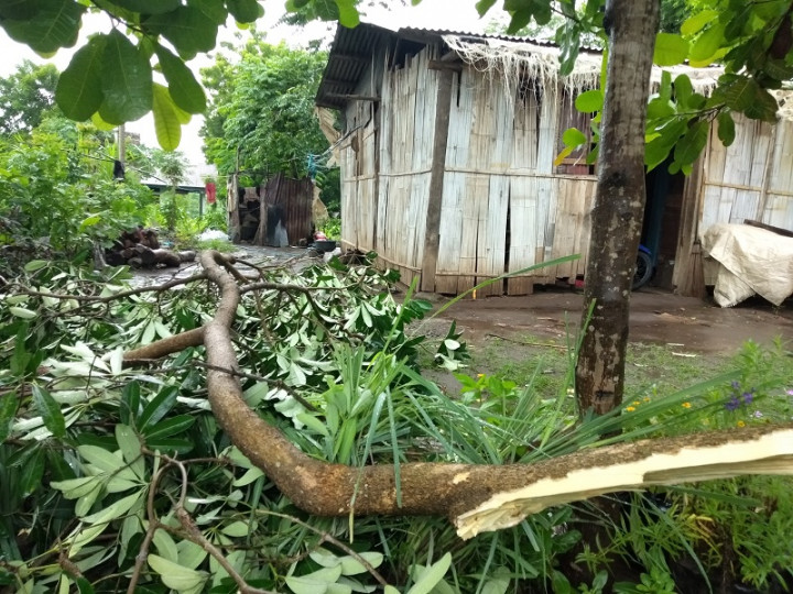 Aliran Listrik di Lembata NTT Terganggu Usai Angin Kencang