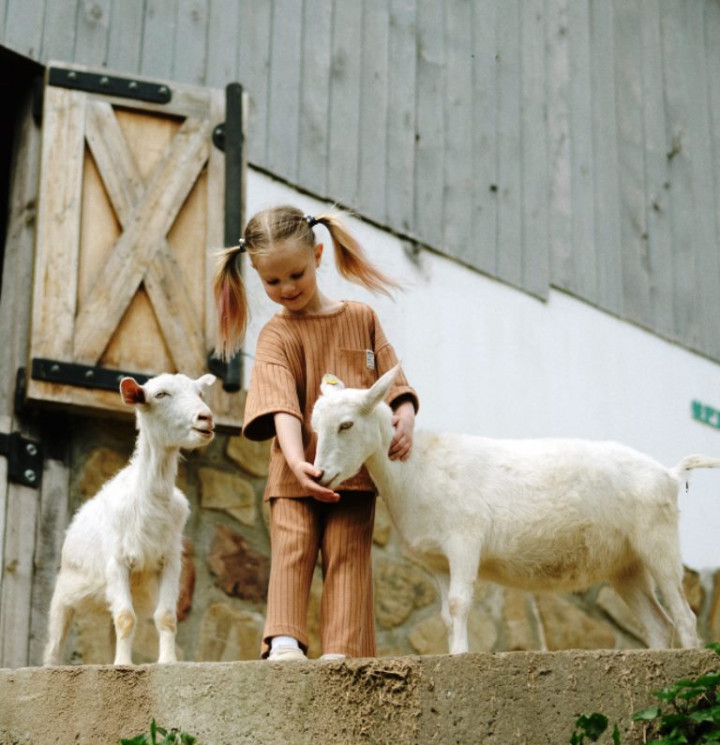 Khasiat Susu Kambing, Salah Satunya Menunjang Pertumbuhan Berat Badan Anak