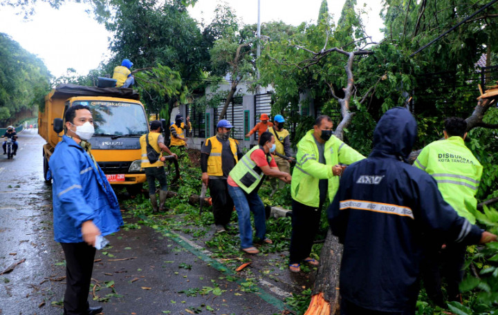 Wali Kota Tangerang Minta Petugas Sigap Evakuasi Pohon Tumbang