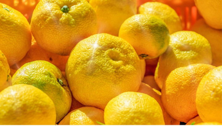 Sering Dianggap Sama dengan Jeruk, Apa Saja Manfaat Yuzu untuk Kesehatan?