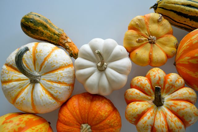 Ini manfaat kabocha untuk tubuh. (Foto: Ilustrasi/Unsplash.com)