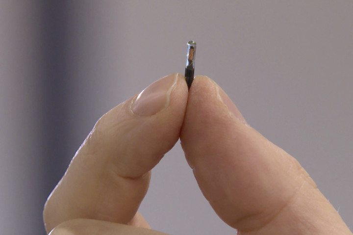Penampakan Microchip Bukti Vaksin Covid-19 yang Ditanam ke Tangan