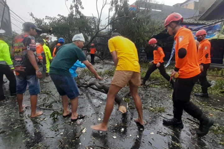 Foto: Pohon dan Tiang Listrik Tumbang Akibat Angin Kencang di Tasikmalaya