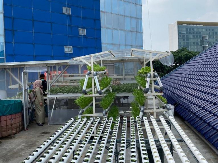 2022, <i>Rooftop</i> Kantor Pemerintahan di Jakpus Disulap Jadi Lokasi <i>Urban Farming</i>