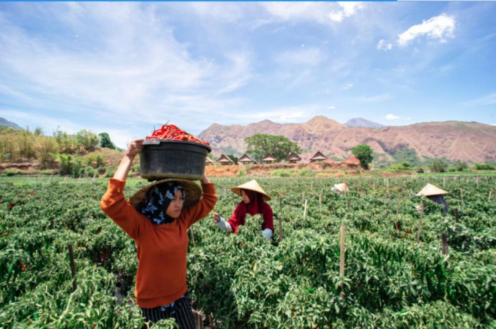 Proyeksikan Ekonomi 2022 Melaju 4,8-5,3%, BRI Optimistis Kredit Perbankan Tumbuh Lebih Tinggi