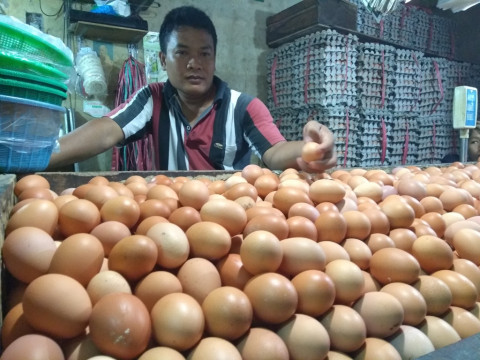 Masih Mahal! Cek Harga Telur di Berbagai Daerah per 28 Desember