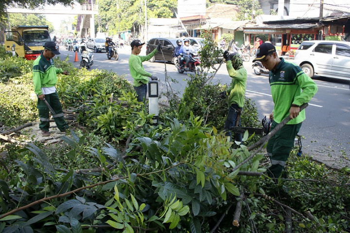 45 Korban Pohon Tumbang di Kota Tangerang Minta Ganti Rugi ke Pemkot