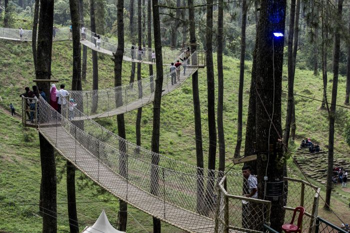 Ilustrasi--Kawasan Ecowisata Orchid Forest Cikole, Lembang, Kabupaten Bandung Barat. Jawa Barat.