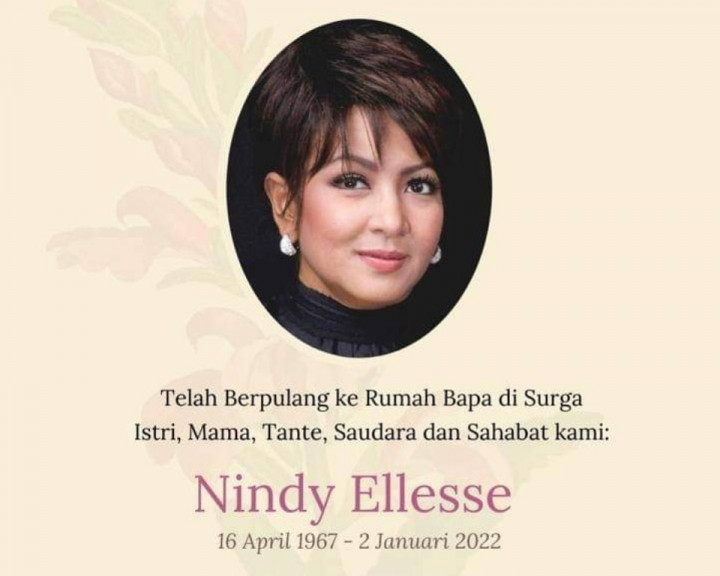 Sebelum Meninggal Dunia, Nindy Ellesse Sempat Ungkap Kondisi Kesehatan di Media Sosial