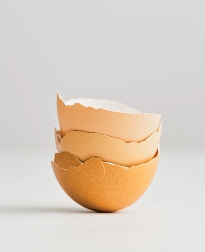 Jangan Dibuang, Ini 5 Manfaat Tak Terduga dari Cangkang Telur