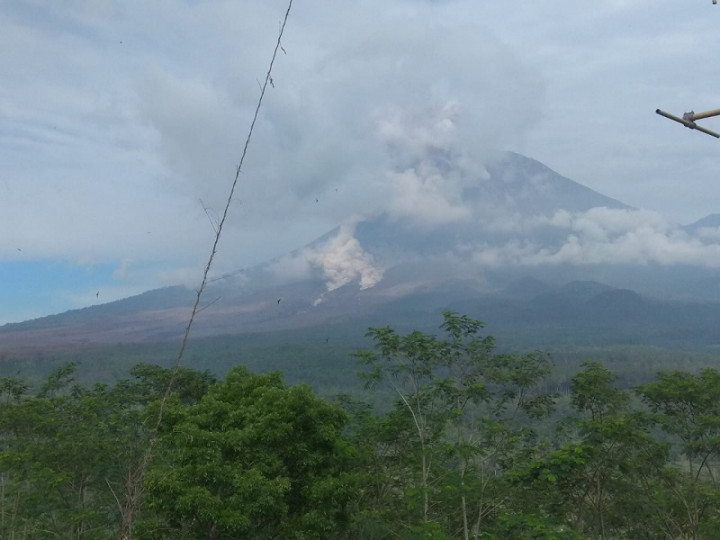 Semeru Kembali Muntahkan Awan Panas Guguran, Hujan Abu Landa 2 Desa