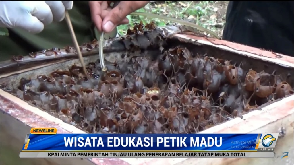 Tangkapan layar Metro TV