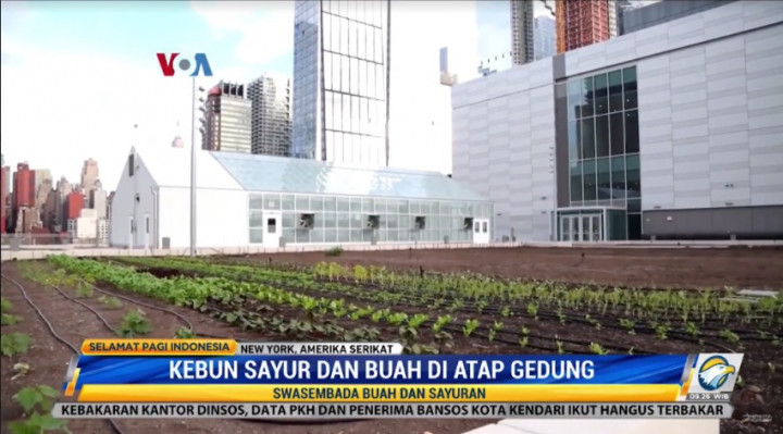 Tekan Emisi Karbon, Bangunan di Kota Ini Tak Bisa Sembarangan