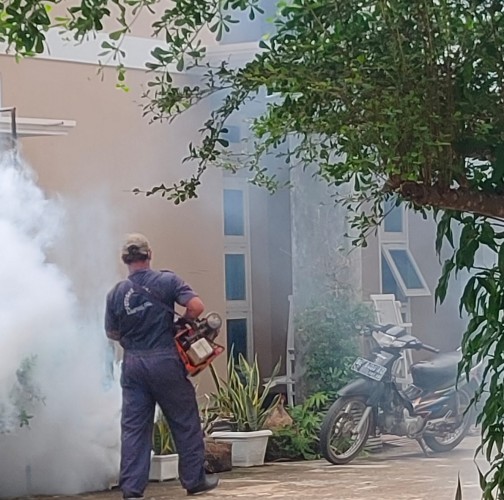 11 Warga Lampung Timur Terserang DBD dalam Sepekan