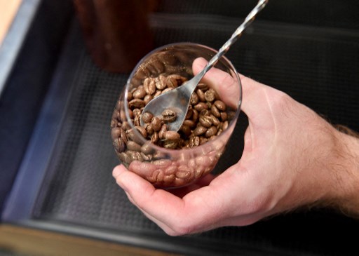 Atase Perdagangan Kairo Fasilitasi Potensi Transaksi Kopi ke Mesir USD5,4 Juta