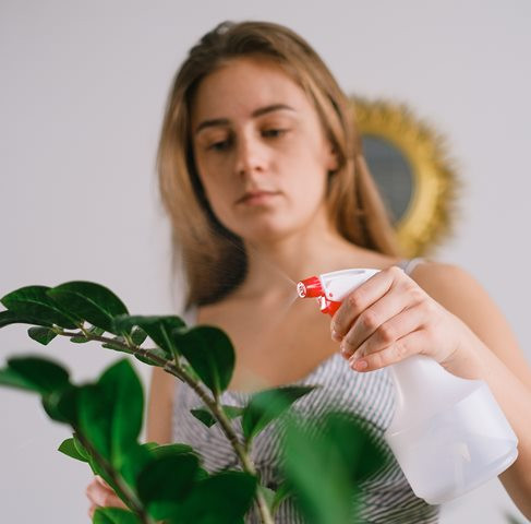 5 Tren Houseplant Tahun 2022, Tanaman Perawatan Mudah Masih digemari!