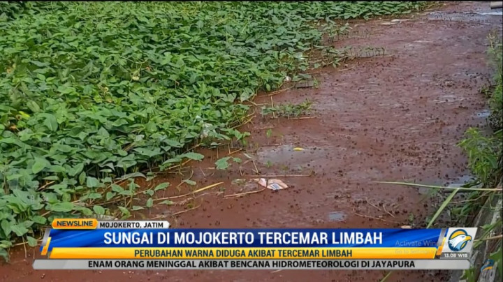 Menjijikkan, Sungai di Mojokerto Memerah akibat Limbah