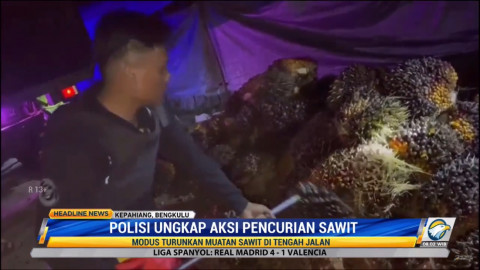 Pencuri dan Penadah 1,8 Ton Sawit Ditangkap di Bengkulu