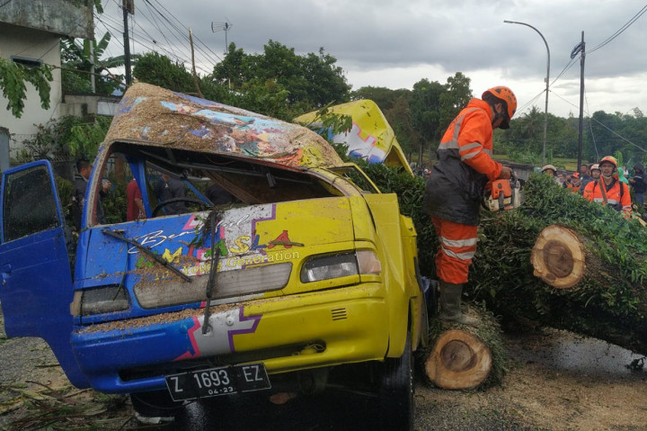 Pohon Tumbang Timpa Mobil di Tasikmalaya, Satu Terluka
