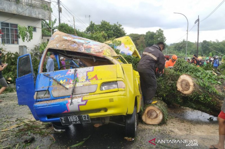 Warga Tasikmalaya Diminta Waspadai Pohon Tumbang
