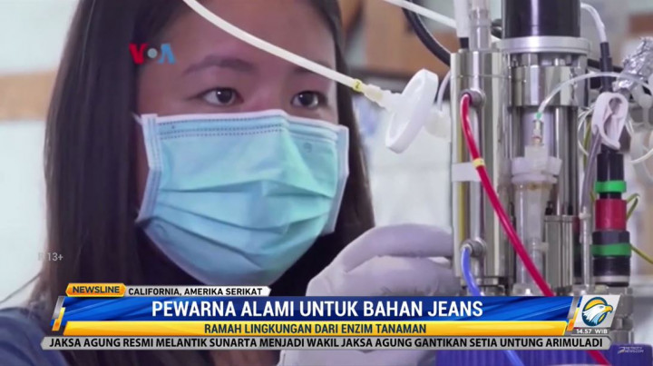 Ilmuwan Amerika Kembangkan Pewarna Alami untuk Bahan Jeans