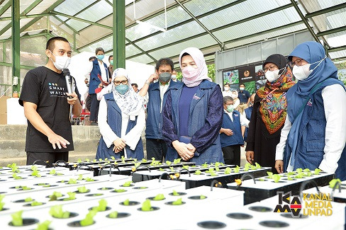 Kebun Hidroponik Unpad/ Foto: Humas Unpad.